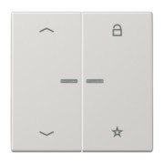eNet Funk-Steuertaste Symbol Pfeil,lichtgr FM LS 1701 P LG 