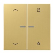 eNet Funk-Steuertaste Symbol Pfeil FM ME 1701 P C 