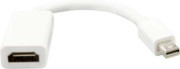 DisplayPort Adapter DP15 
