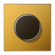 Abdeckung f.Drehdi.Nebenstelle LS 1940 GGO 