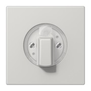 Abdeckung für Drehschalter LS 1941 LG 