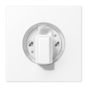 Abdeckung f.Drehschalter LS 1941 WWM 