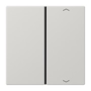 Taste 1-fach lgr Symbol Auf/Ab LS 401 TSAP LG 