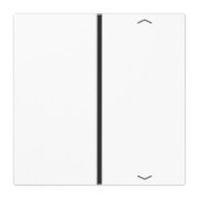 Taste 1-fach aws Symbol Auf/Ab LS 401 TSAP WW 