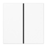 Tastensatz 1-fach aws komplett LS 401 TSA WW 