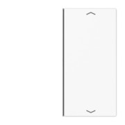 Taste 2-fach aws Symbol Auf/Ab LS 402 TSAP WW 