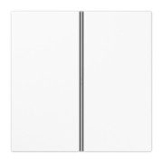 Tastensatz 2-fach aws komplett LS 402 TSA WW 