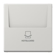 Hotelcard-Schalter lgr ohne Taster-Einsatz LS 590 CARD LG 