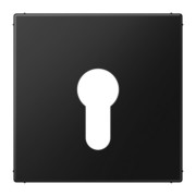 Abdeckung graphitschwarz matt LS 925 SWM 