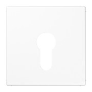 Abdeckung aws für Schlüsselschalt. LS 925 WW 