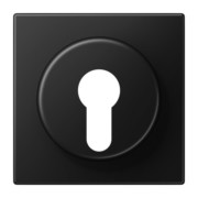 Abdeckung graphitschwarz matt LS 928 SWM 