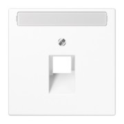 Abdeckung Schriftfeld aws für IAE/UAE-Dose LS 969-1 NAUA WW 