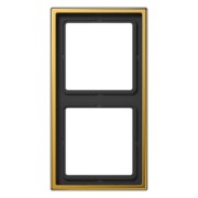 Rahmen 2-fach go24Karat waage/senkrecht LS 982 GGO 