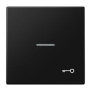 Wippe 1-fach graphitschwarz matt LS 990 KO5 T SWM 