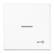 Wippe Sym.TÜR/Lichtl.aws für beleuchtb.Taster LS 990 KO5 T WW 
