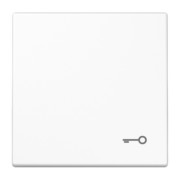 Wippe Symbol TÜR aws für Taster LS 990 T WW 
