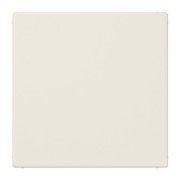 Blind-Abdeckung ws kompl.mit Tragring LS 994 B 