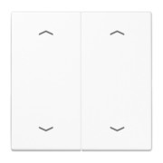 Wippe Symbole aws für Taster 2-fach LS 995 MP WW 