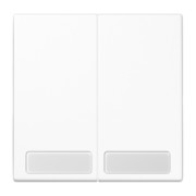 Wippe Schriftfeld aws für Schalter/Taster LS 995 NA WW 