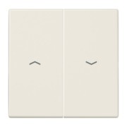 Wippe Symbole ws für Taster LS 995 P 