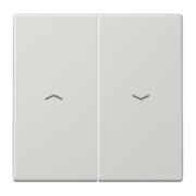 Wippe Symbole lgr für Taster LS 995 P LG 