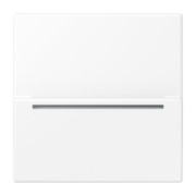 Hotelcard-Schalter schneeweiß matt LS CARD RFID WWM 