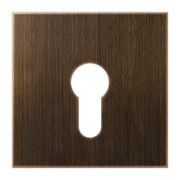 Abdeckung Mess/antik f. Schlüsselschalter ME 2925 AT 