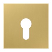 Abdeckung Mess/clas f. Schlüsselschalter ME 2925 C 