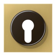 Abdeckung Mess/clas f. Schlüsselschalter ME 2928 C 