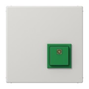 Abstelltaster lgr ausgel.RUF abstellen NRS LS 0834 AT LG 