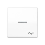 Wippe 1fach mit Lichtleiter SPAS 591 KO5L WW 