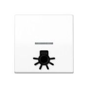 Wippe 1fach mit Lichtleiter SPAS 591 L1KO5 WW 