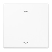 Wippe, mit Pfeilsymbolen f. Taster 1fach SPLS 101 P WW 