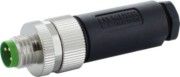 M8-Stecker gerade 7000-08601-0000000 