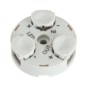 morepic-1