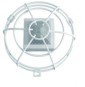morepic-1