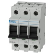 Hauptschalter RH 063-300 