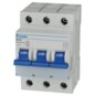 morepic-1