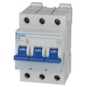morepic-1