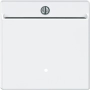 Card-Schalter pws beleuchtbar 315419 