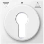 Zentralplatte pws für Rollladeneinsatz 319319 