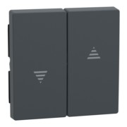 Wippe anth f.Roll.Schal.Taster 435514 