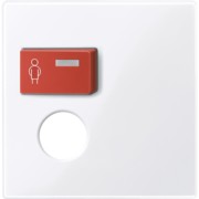 Zentralplatte aws/gl für Rufmodul 450225 