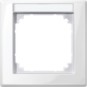 morepic-1