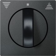 Zentralplatte anth 569814 