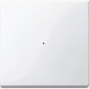 Wippe pws/gl f.Tastermodul 1f. 619119 