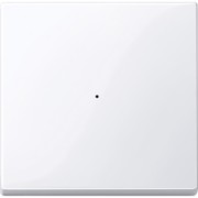 Wippe aws/gl f.Tastermodul 1f. 619125 