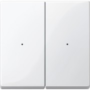 Wippe pws/gl für Tastermodul 2f. 619219 