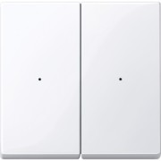 Wippe aws/gl für Tastermodul 2f. 619225 