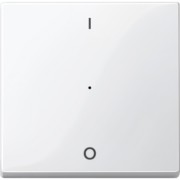 Wippe pws/gl f.Tastermodul 1f. 619319 